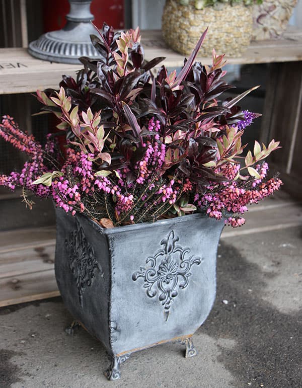 クラシカルティン T-10 大中小3個セット