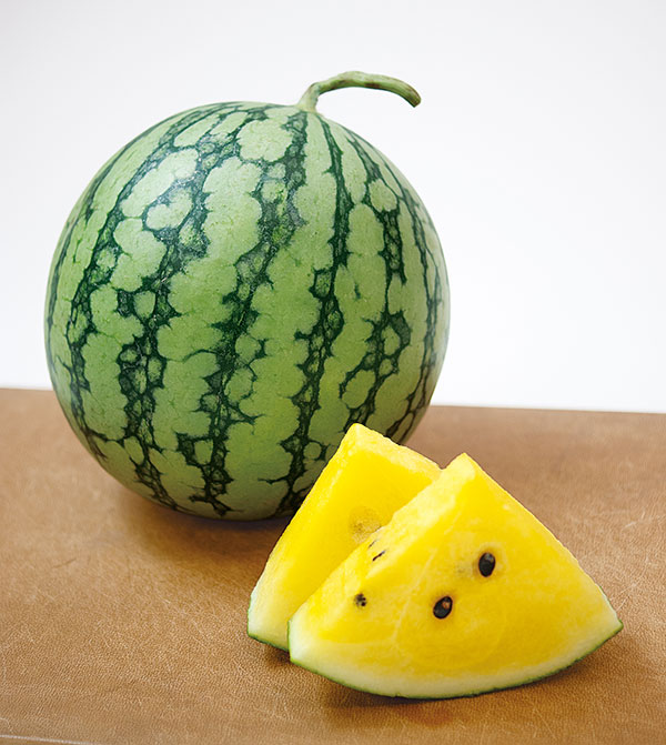 スイカ：ひよこひめ（黄小玉西瓜）[鮮やかな黄肉の小玉スイカ　野菜タネ]