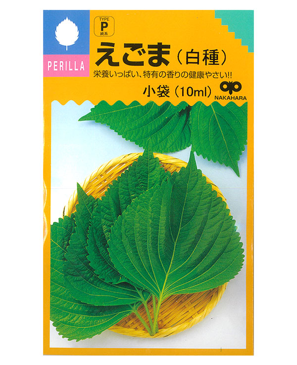シソ：えごま（白種子）[葉は韓国料理や焼肉のお供に・実はえごま味噌やゴマ同様に利用できる 野菜タネ]