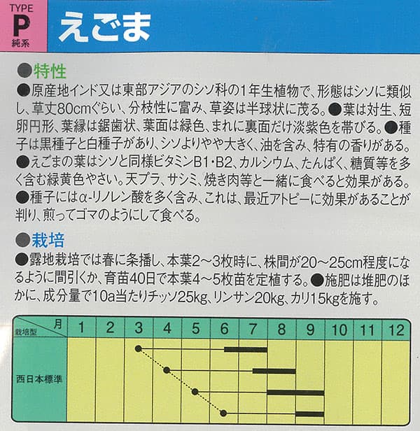 シソ：えごま（白種子）[葉は韓国料理や焼肉のお供に・実はえごま味噌やゴマ同様に利用できる 野菜タネ]
