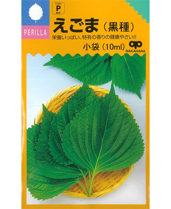 シソ：えごま（黒種子）[葉は韓国料理や焼肉のお供に・実はえごま味噌やゴマ同様に利用できる 野菜タネ]