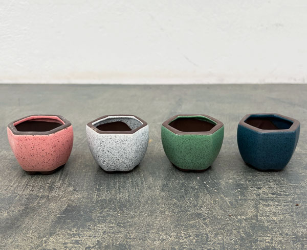 マメポットB　六角形（直径6cm） 4色セット