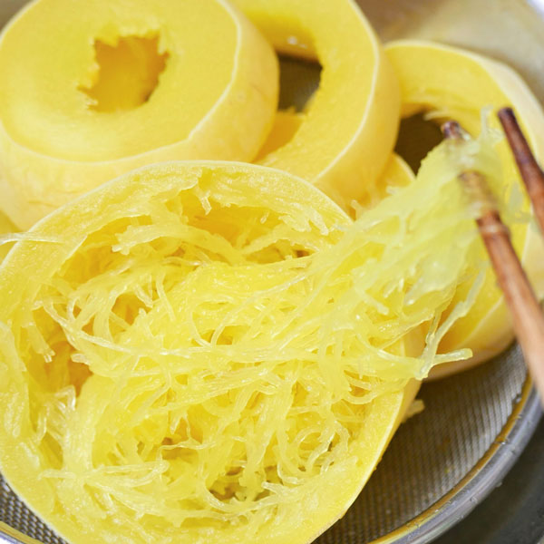 [送料無料][26年4月下旬予約]そうめんかぼちゃ自根苗3.5号ポット 24株セット