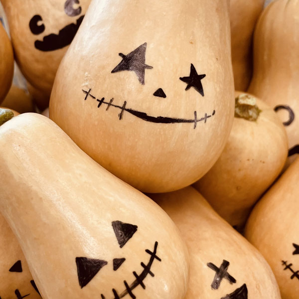 [送料無料][26年4月下旬予約]カボチャ：バターナッツ 自根苗3.5号ポット 24株セット