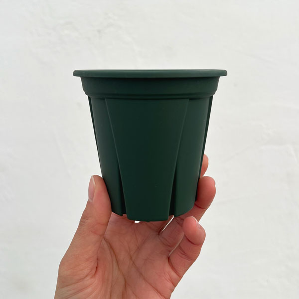 根っこつよし3号グリーン5個セット