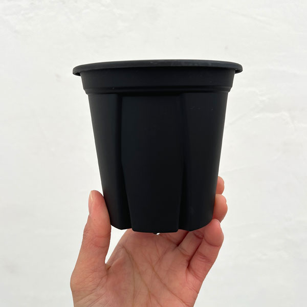 根っこつよし3.5号ブラック4個セット