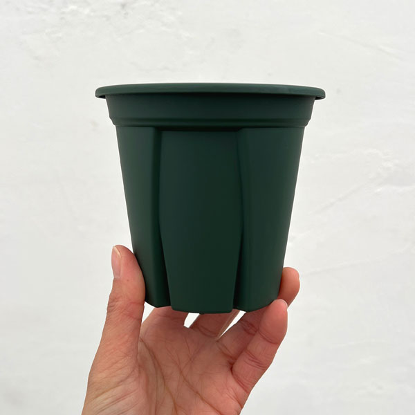 根っこつよし3.5号グリーン4個セット