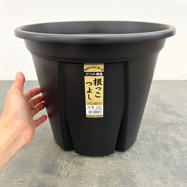 根っこつよし10号ブラック