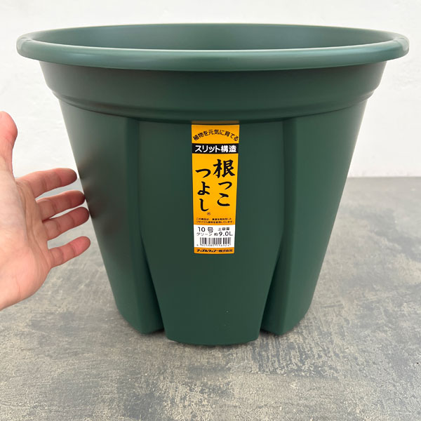 根っこつよし10号グリーン