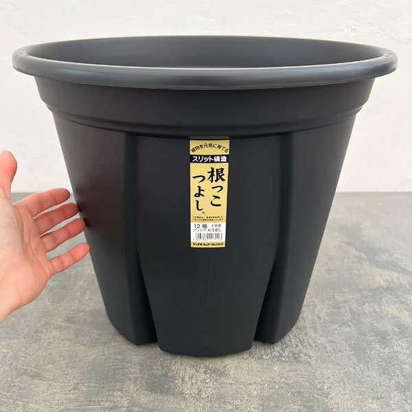 根っこつよし12号ブラック