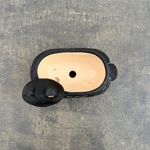 アフリカンアニマルポット：たぬき　ブラック（CP2627BK）幅15.5cm高さ12cm