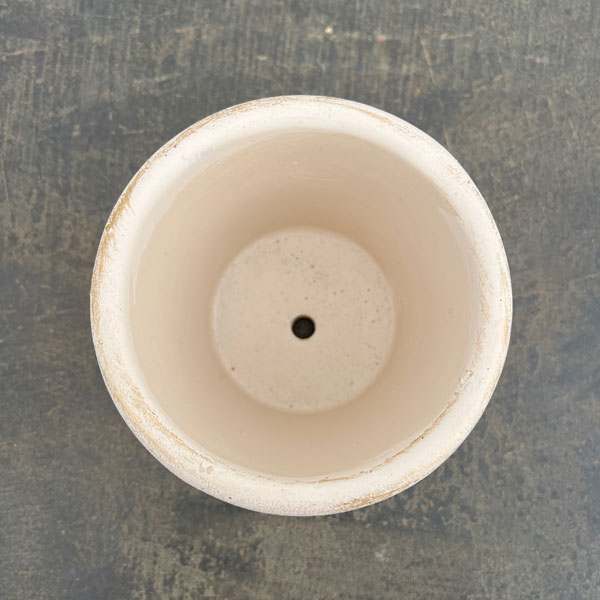 カノンフラワー：ベーシック 3 ホワイトゴールド（CQ2602WG）高さ9.5cm