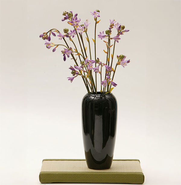 [26年3月中下旬予約]ギボウシ：平和3.5号ポット