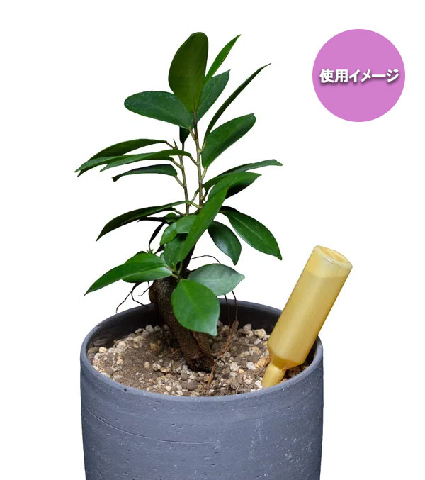 バイオスティミュラント活力液：X-ENERGY(エックスエナジー)ダイレクトアンプルタイプ35ml×10本入り