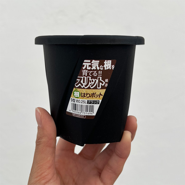 根はりポット 9型（直径9.0cm、高さ8.5cm、容量0.25L）ブラック