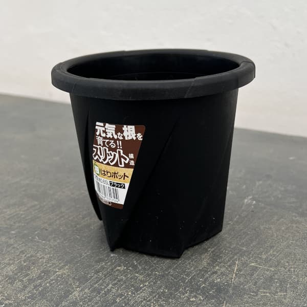 根はりポット 12型（直径12.0cm、高さ11.4cm、容量0.65L）ブラック 10個セット