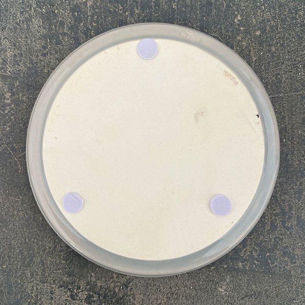 クリスマスローズ専用鉢：Rose de Noel Parfaite（グレー）　Mサイズ（5号）・皿付