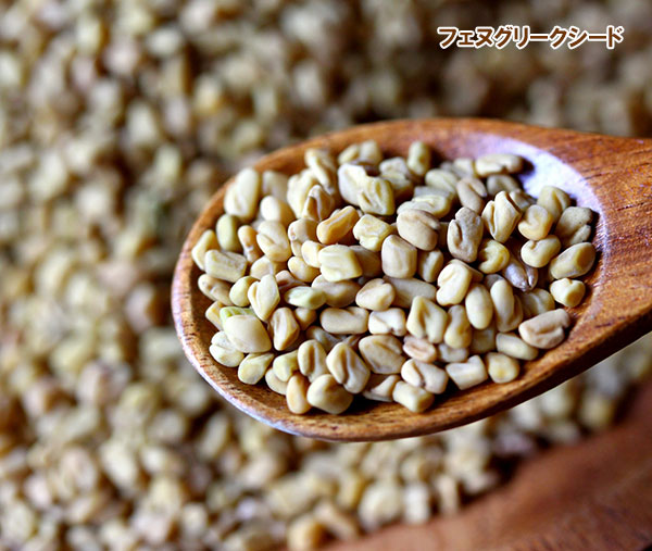 ブルーフェヌグリーク3号ポット