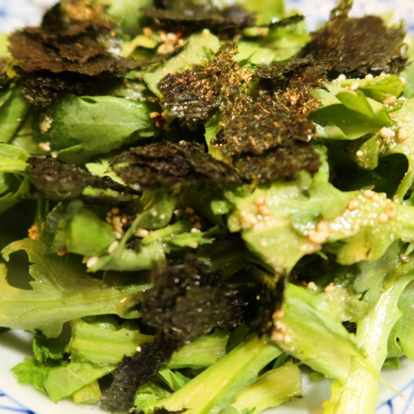 シュンギク:チュウバシュンギク(中葉春菊)3.5号ポット苗