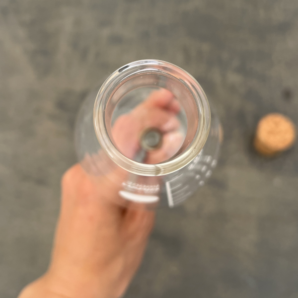 HARIO プランターに挿す水やり器 PM-200-P（直径8cm、高さ31.5cm、容量200ml）