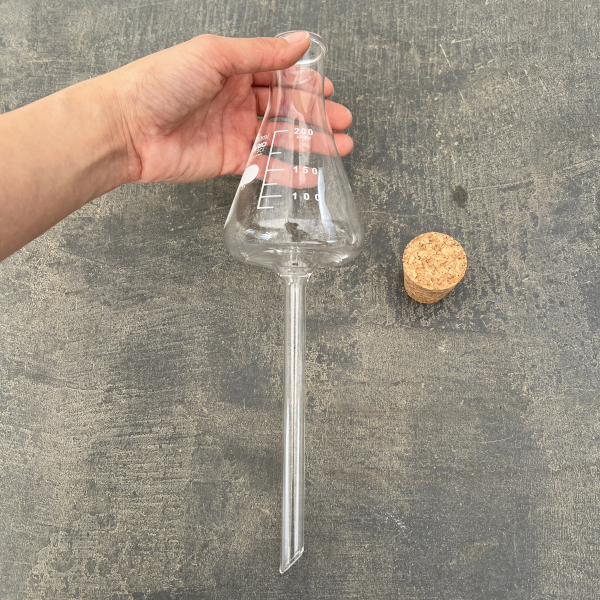 HARIO プランターに挿す水やり器 PM-200-P（直径8cm、高さ31.5cm、容量200ml）