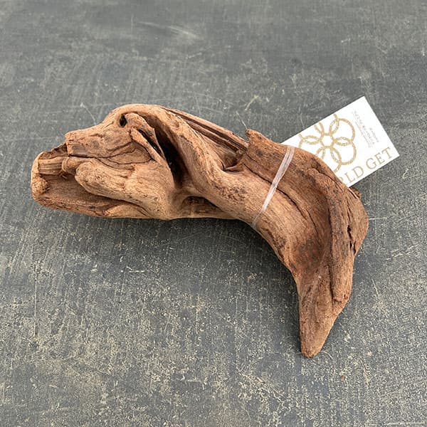 マングローブ系の流木 Sサイズ