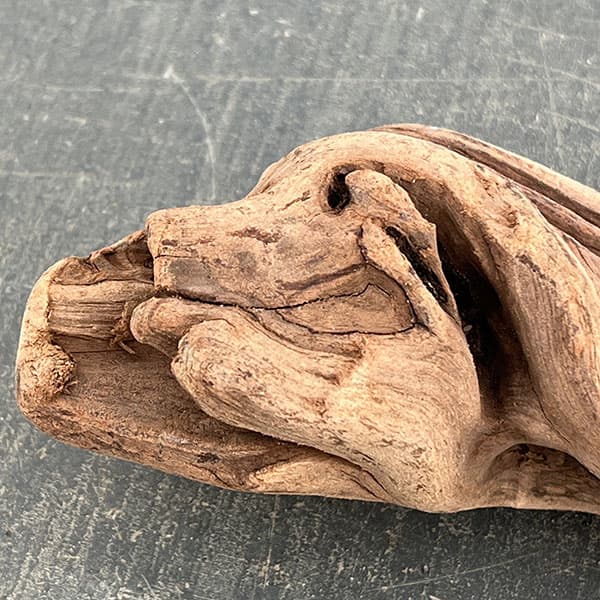 マングローブ系の流木 Sサイズ