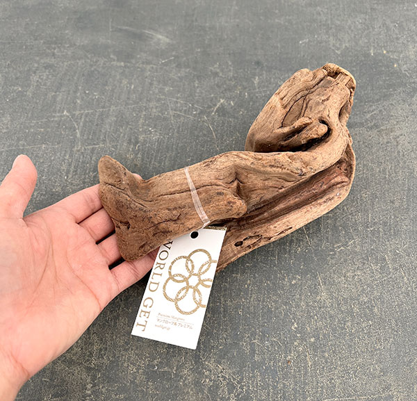 マングローブ系の流木 Sサイズ