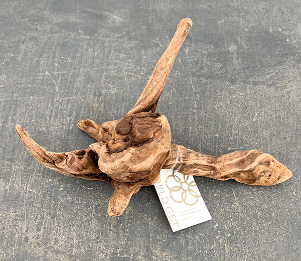 マングローブ系の流木 Sサイズ