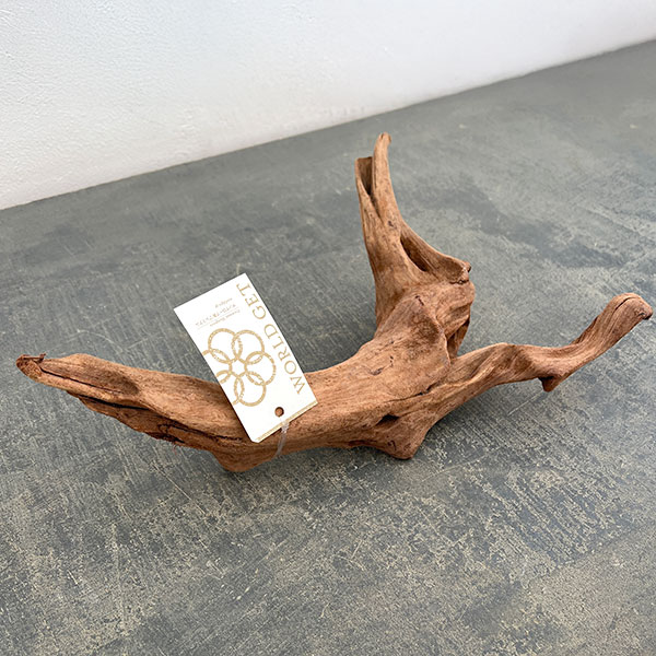 マングローブ系の流木 Mサイズ