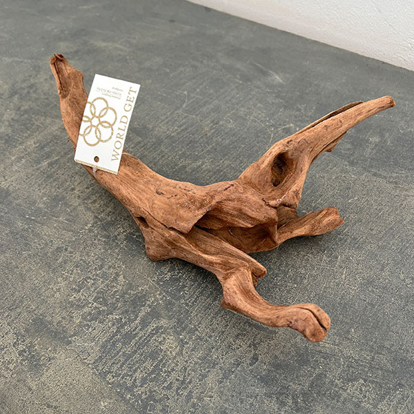 マングローブ系の流木 Mサイズ