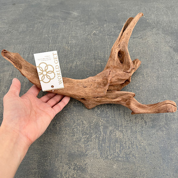 マングローブ系の流木 Mサイズ