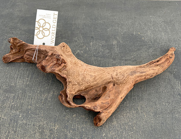 マングローブ系の流木 Mサイズ