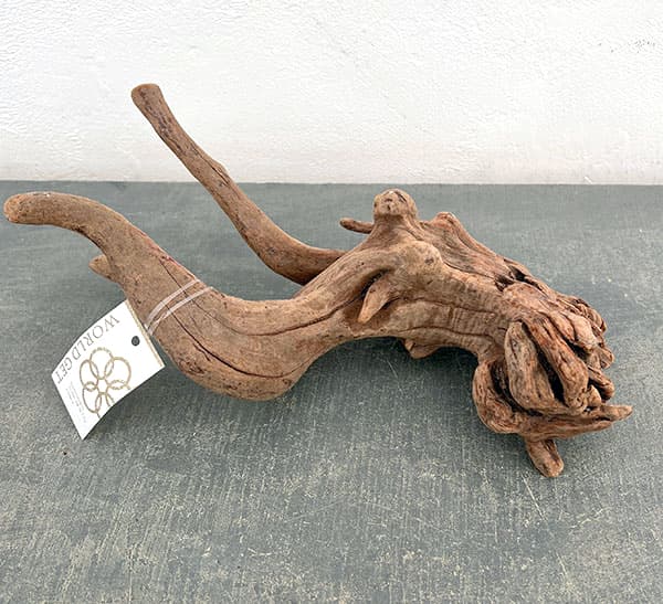 マングローブ系の流木 Mサイズ