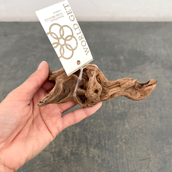 マングローブ系の流木 プチサイズ