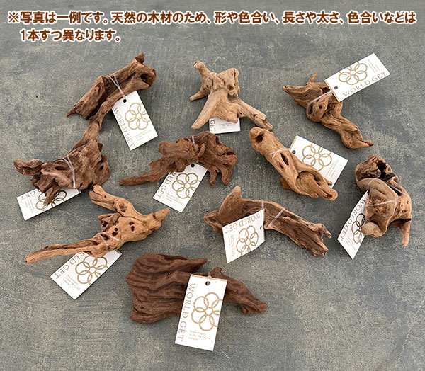 マングローブ系の流木 プチサイズ