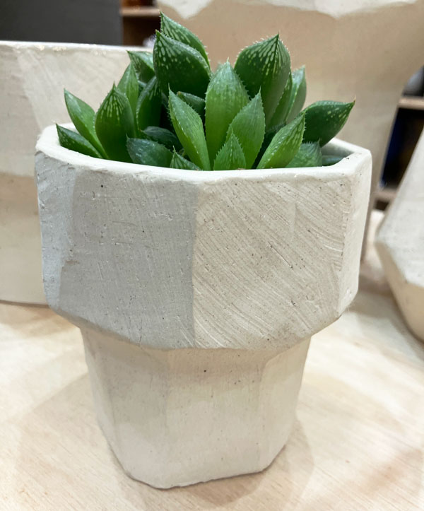 フリート11(直径11cm)(底穴なし)12001