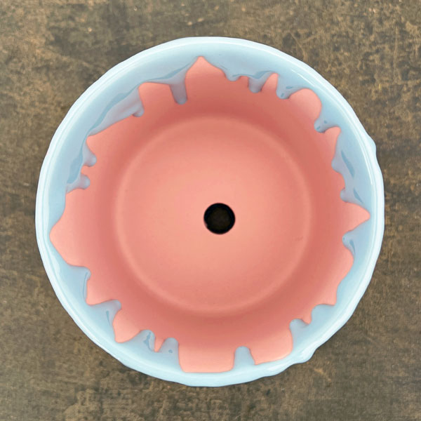 ドリーナ11P(直径11cm)ピンク&ブルー・皿付/84090