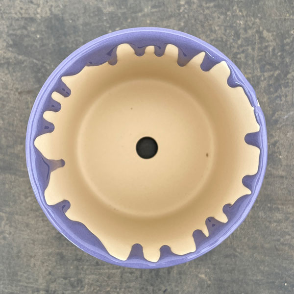 ドリーナ11Y(直径11cm)イエロー&パープル・皿付/84093