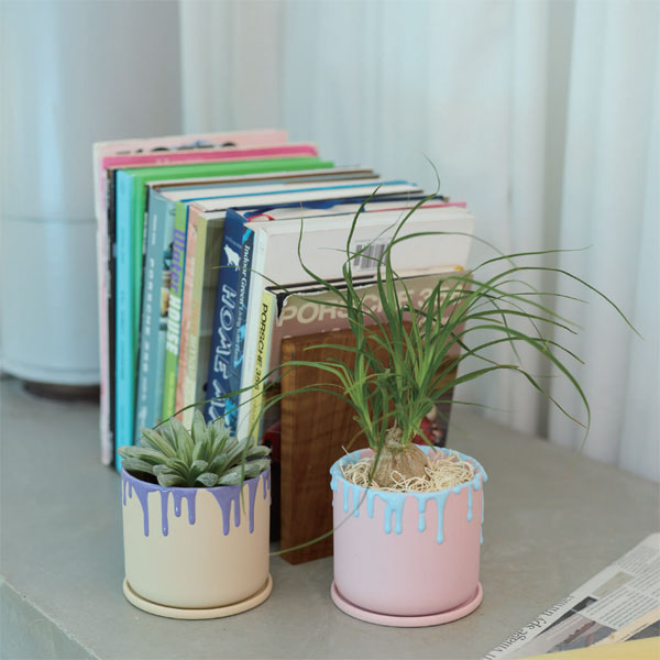 ドリーナ11Y(直径11cm)イエロー&パープル・皿付/84093