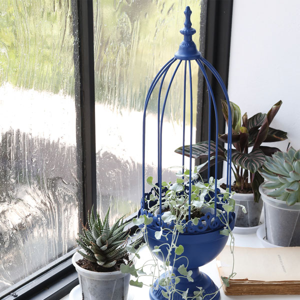 アジュール・スパイヤーケージ（BL-22）