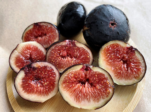 イチジク：ビオレソリエス4.5～5号ポット