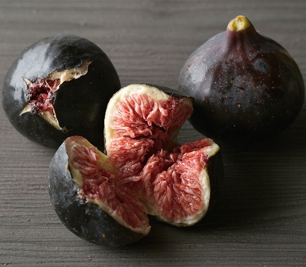 イチジク：ビオレソリエス4.5～5号ポット