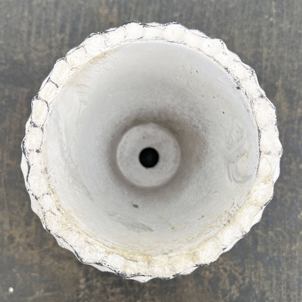 ガイヤボウル：ベージュS（直径約11cm）・皿付き