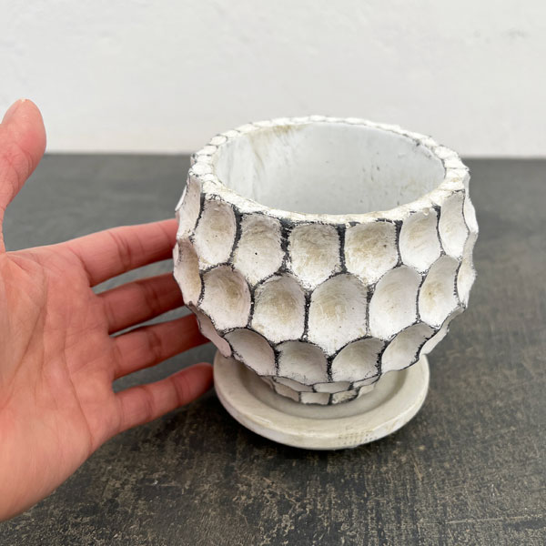 ガイヤボウル：ベージュS（直径約11cm）・皿付き