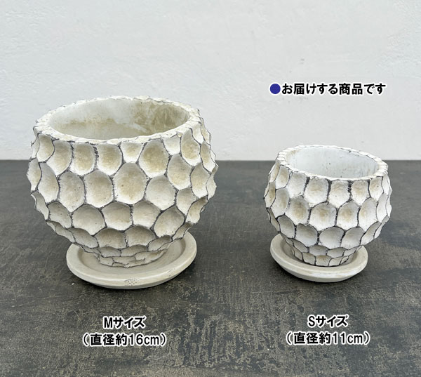 ガイヤボウル：ベージュS（直径約11cm）・皿付き