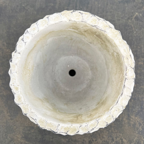 ガイヤボウル：ベージュM（直径約16cm）・皿付き