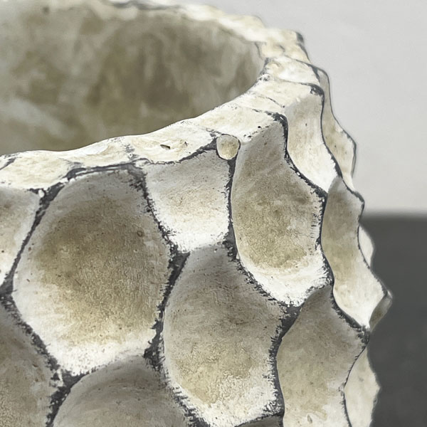 ガイヤボウル：ベージュM（直径約16cm）・皿付き