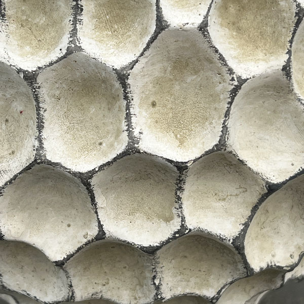 ガイヤボウル：ベージュM（直径約16cm）・皿付き