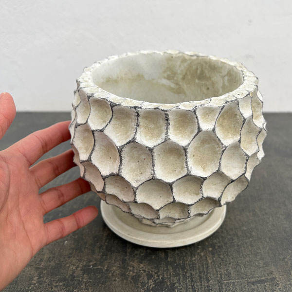 ガイヤボウル：ベージュM（直径約16cm）・皿付き